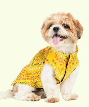 Dog Kurta Yellow