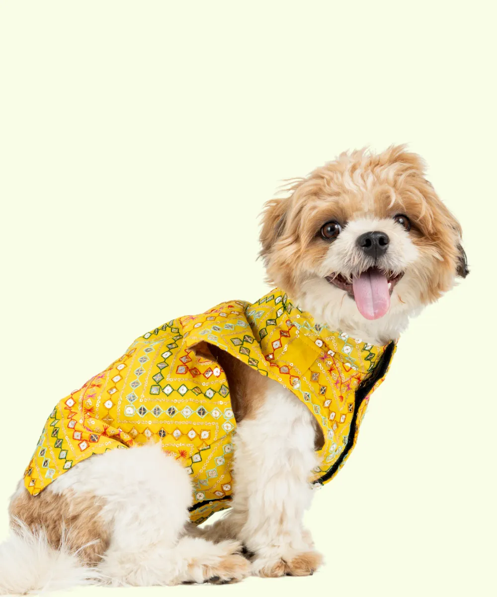 Dog Kurta Yellow