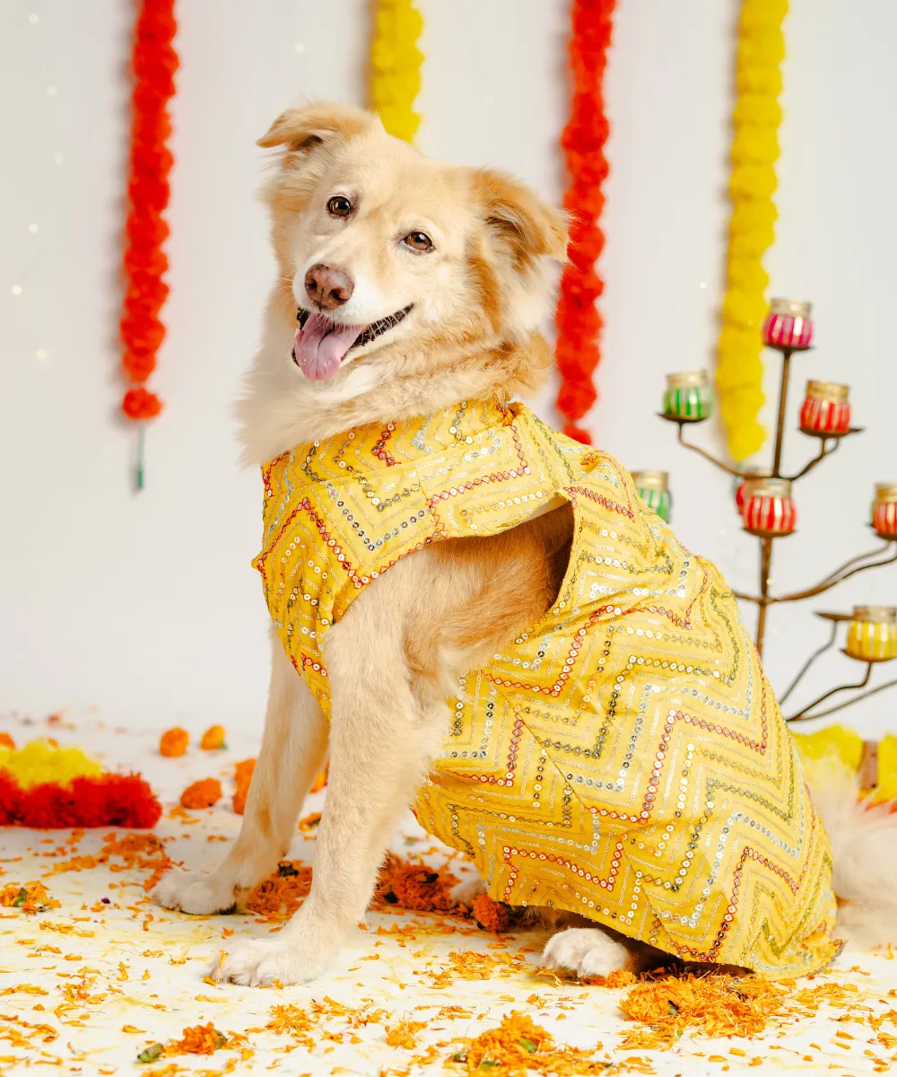 Dog Kurta Yellow