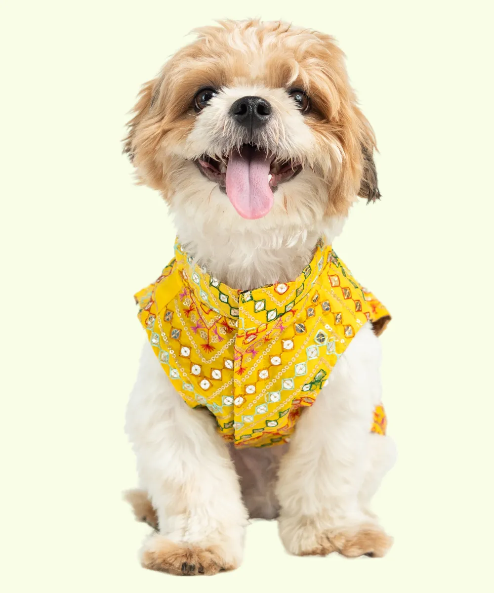 Dog Kurta Yellow