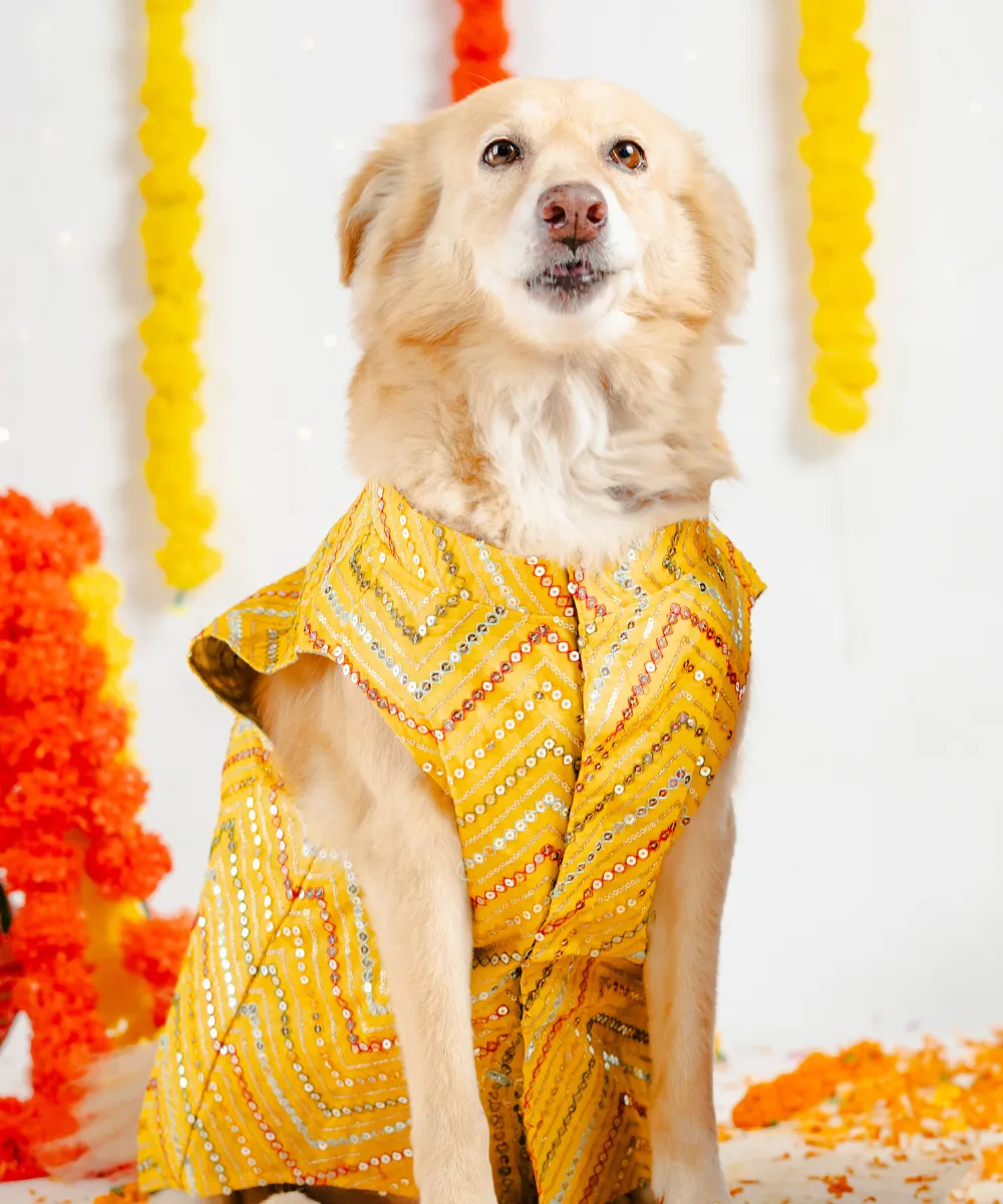 Dog Kurta Yellow
