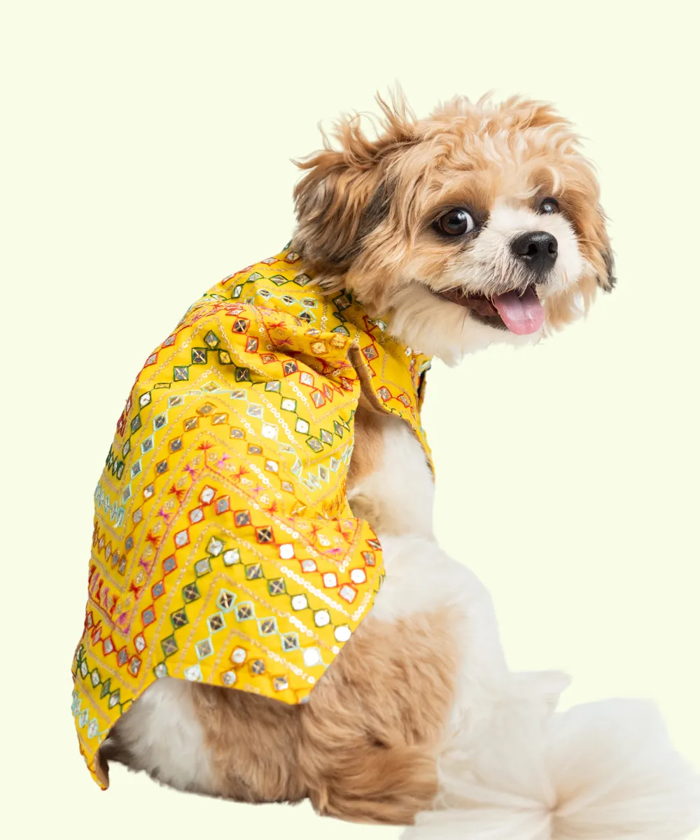 Dog Kurta Yellow