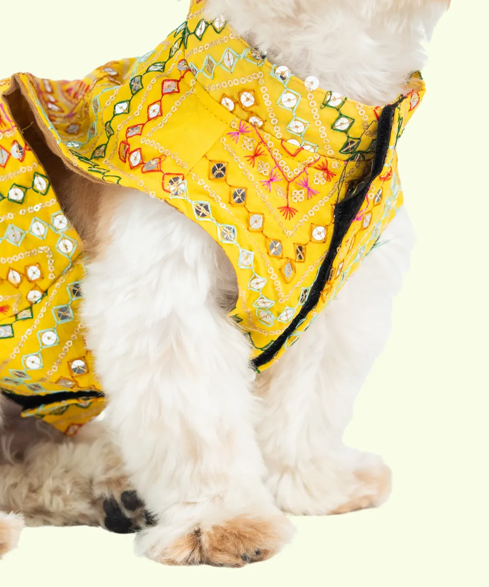 Dog Kurta Yellow