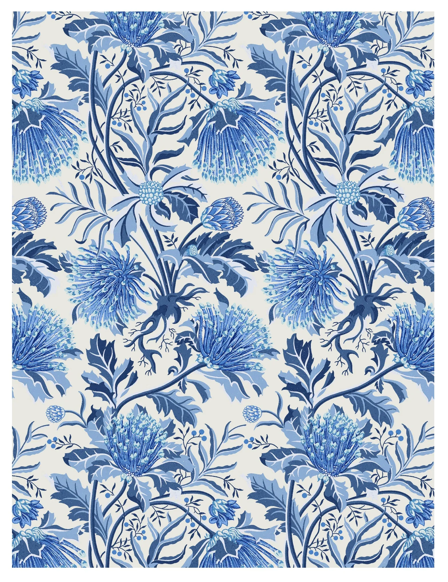 Matchstick Banksia Blue Wallpaper