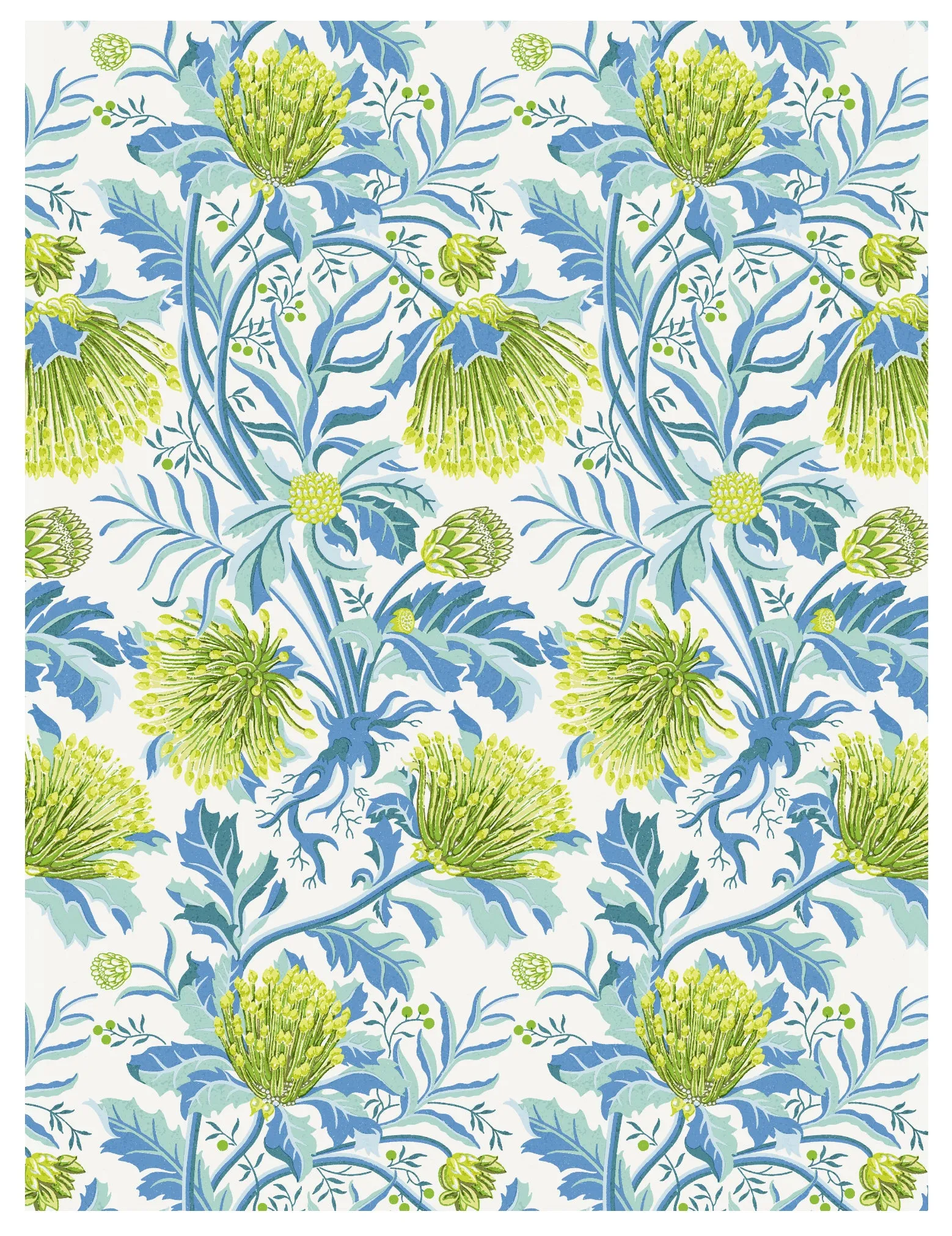 Matchstick Banksia Green Wallpaper