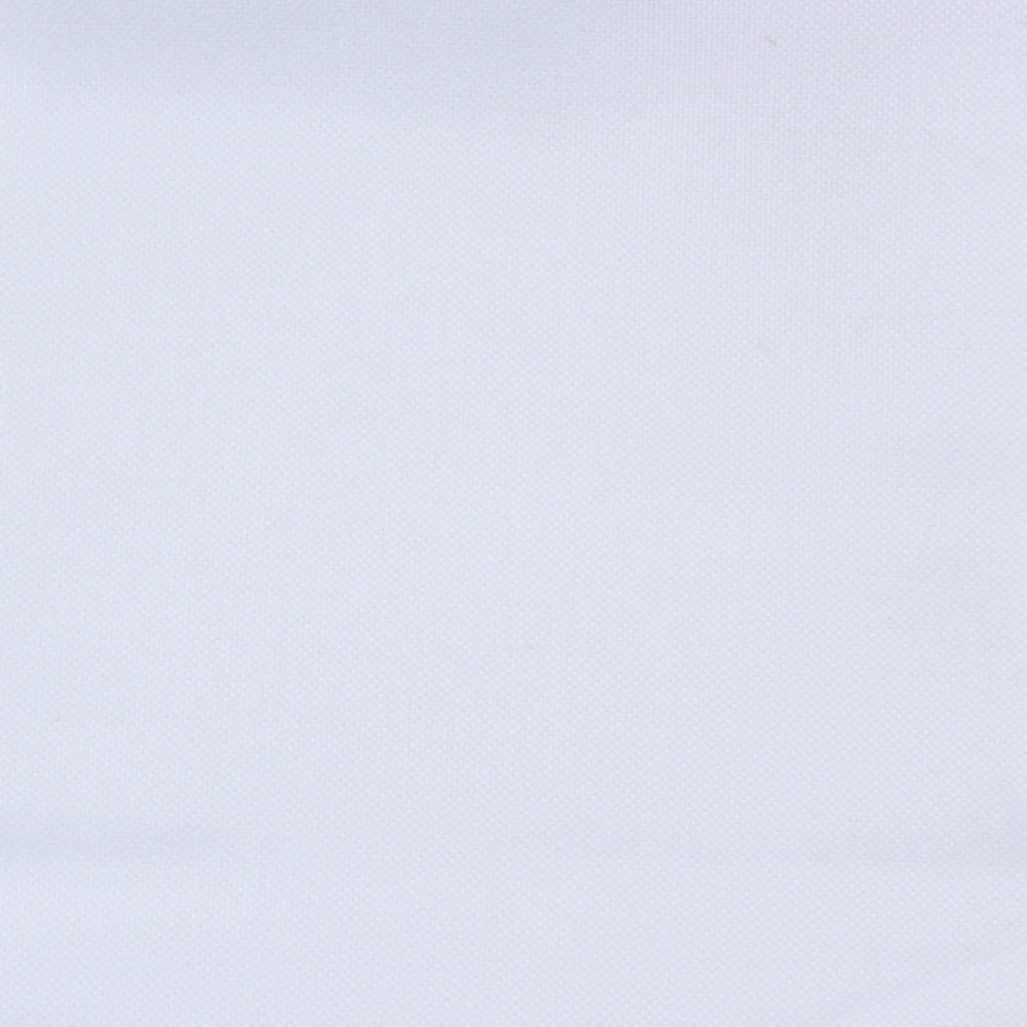 Organic Cotton Oxford for Shirting - 5 Colors Available