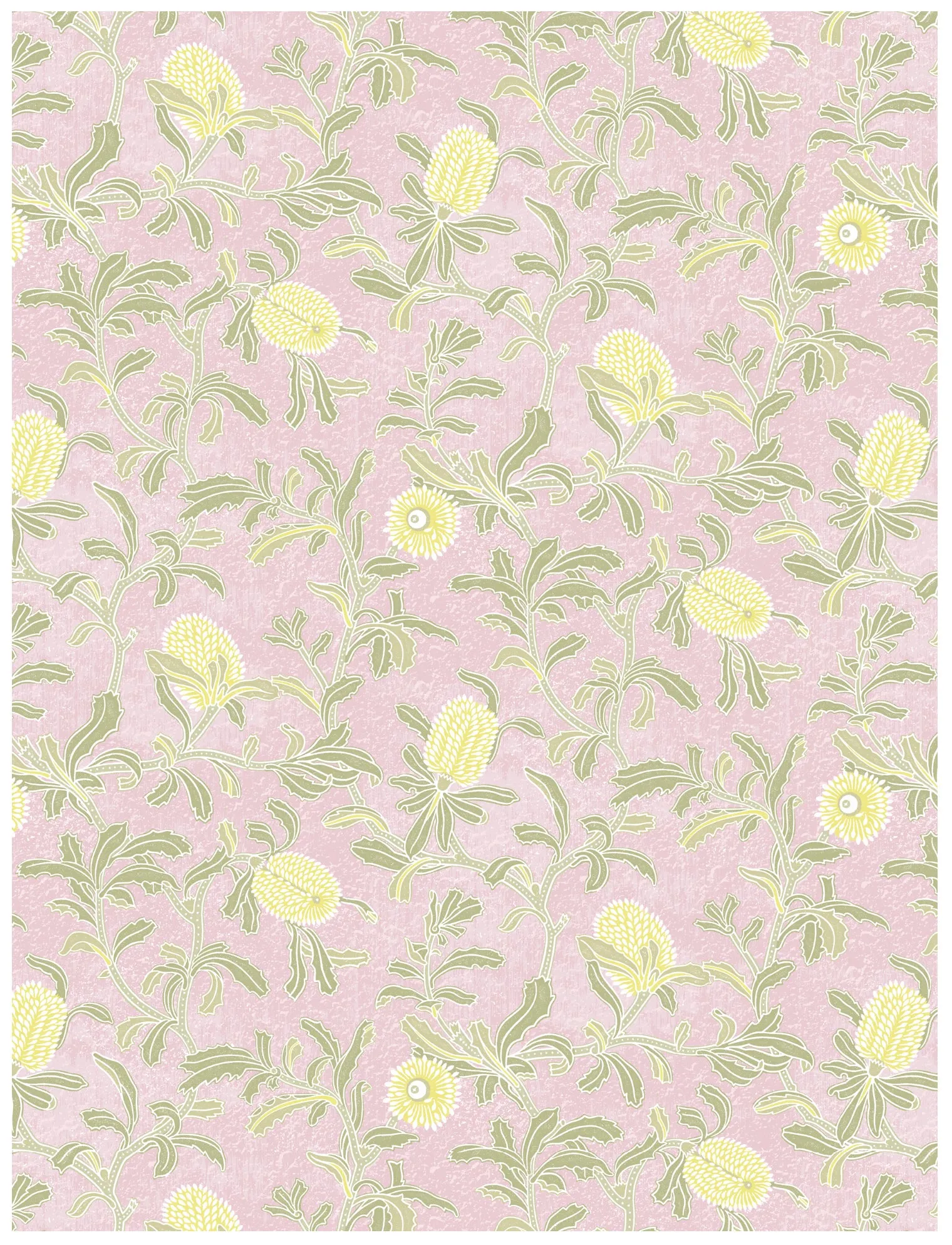 Silver Banksia Pink Wallpaper