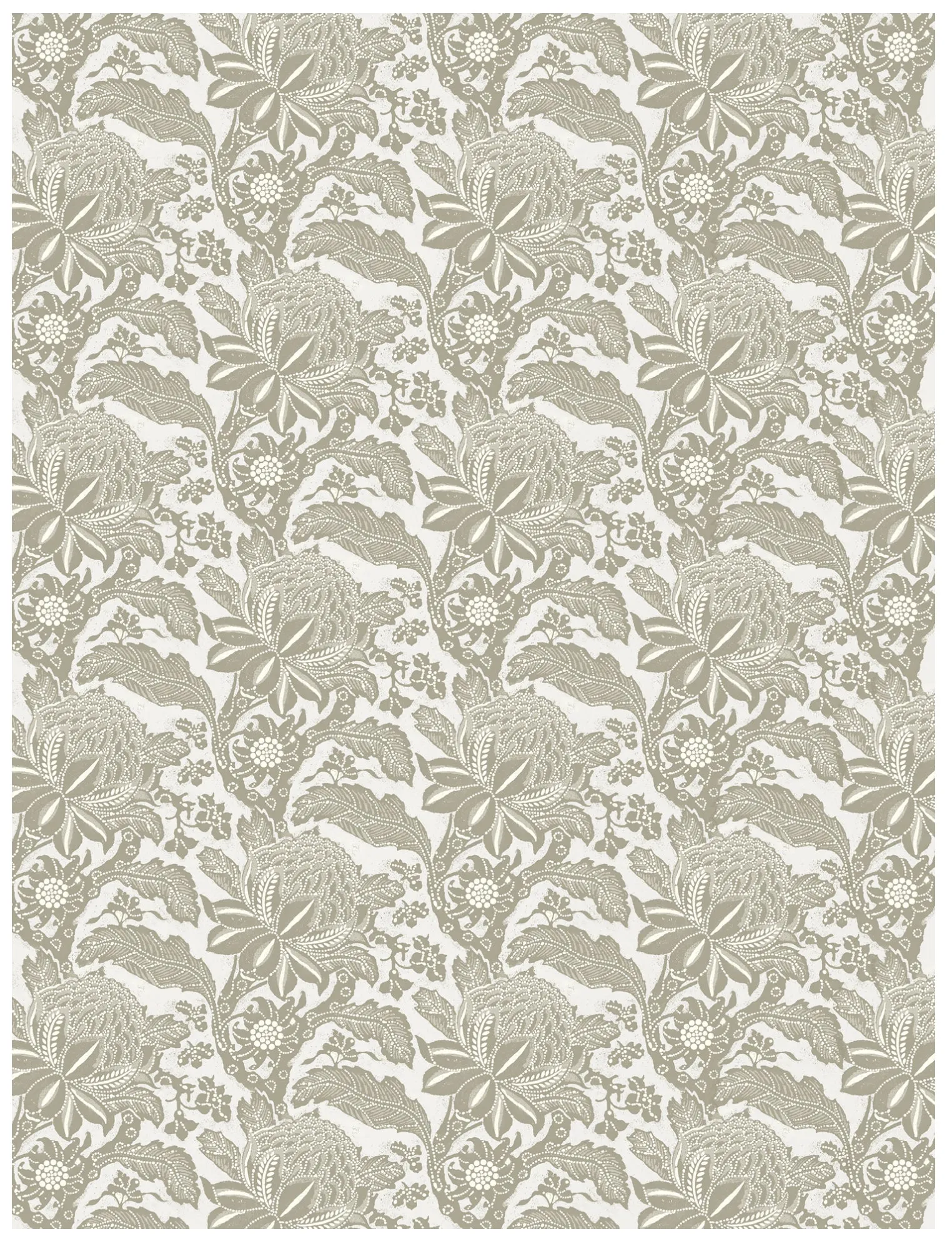 Waratah Camel Wallpaper